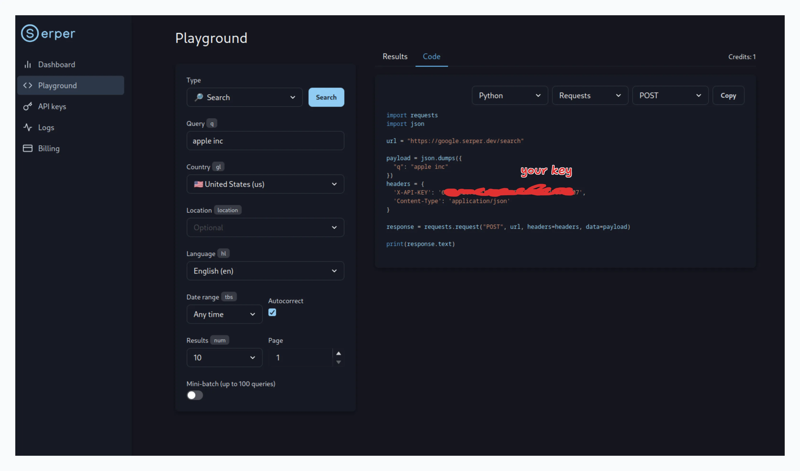 Serper playground with API key